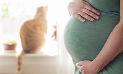 Токсоплазмоз та вагітність