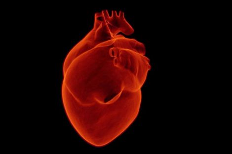 Кардіолог розповів про те, що допоможе знизити ризик серцевого нападу на 90%