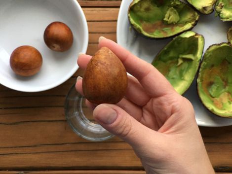 Не викидайте кісточку авокадо: вона дуже корисна