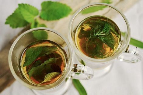 Дієтолог назвала 5 трав'яних чаїв, які допоможуть зміцнити імунітет