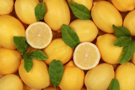 Як вживання лимонів впливає на організм