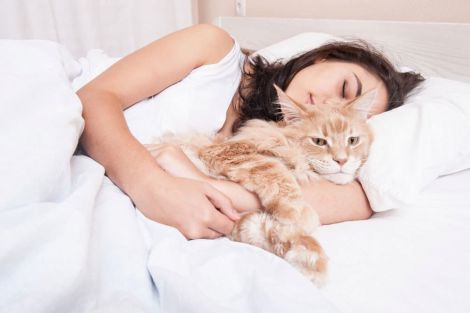 Сон з кішкою