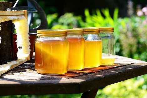 Лікарі назвали безпечну для здоров'я норму меду