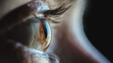 Якість зору: 3 простих продукти для покращення здоров'я очей