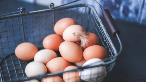 Перевірка терміну придатності яєць