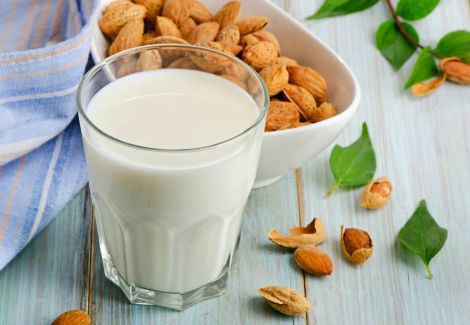 В чому користь та шкода молочних продуктів на рослинній основі