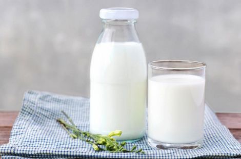 Щоденне споживання молока подвоює втрату ваги