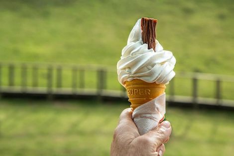 Пломбір, щербет чи фруктовий лід: вибираємо морозиво з дієтологом