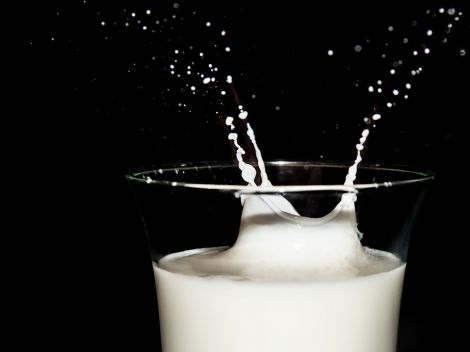 Смертельна небезпека коров'ячого молока для дітей