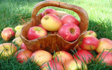 Яблука знижують ризик розвитку раку