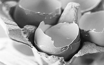 Яєчна шкаралупа - незамінна в кожній сім'ї