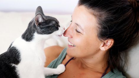Людина і кішка: вчені назвали сім причин завести пухнастого друга