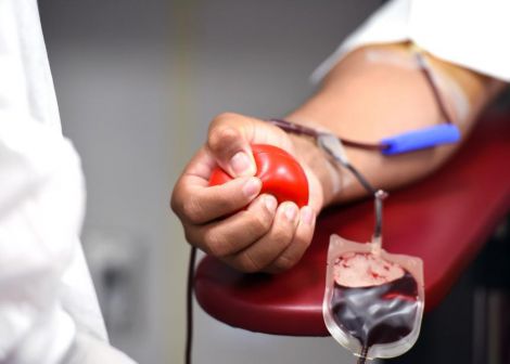 Лікар пояснила, як мають харчуватися донори крові