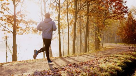 Вчені виявили вплив бігу на тривалість життя