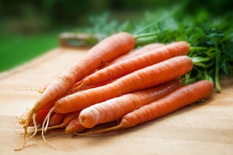 Користь моркви