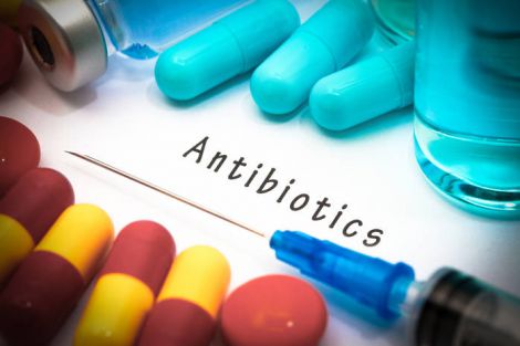 Стійкість до антибіотиків