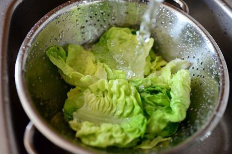Як приготувати популярний в Тік Ток напій з листя салату від безсоння