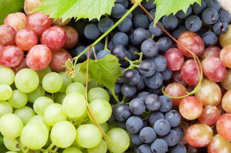 Поліпшує зір і сон: чим корисний виноград