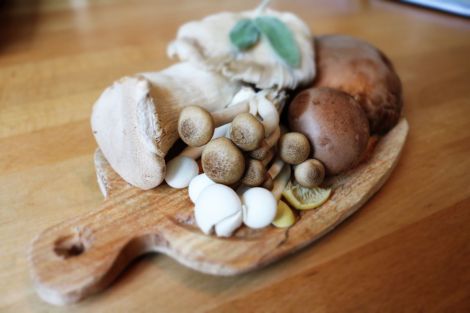 Користь грибів для психічного здоров'я