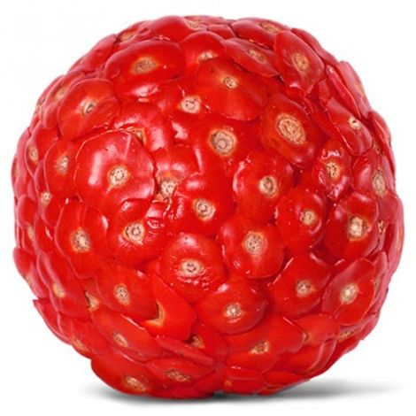 art-tomato-1.jpg (36.47 Kb)