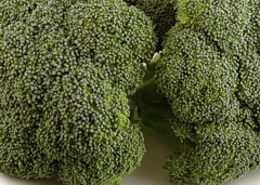 brokoli.jpg (61.3 Kb)