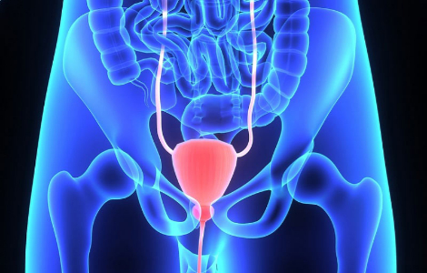 Ознаки, котрі свідчать, що в людини проблеми з жовчним міхуром Ознаки, котрі свідчать, що в людини проблеми з жовчним міхуром