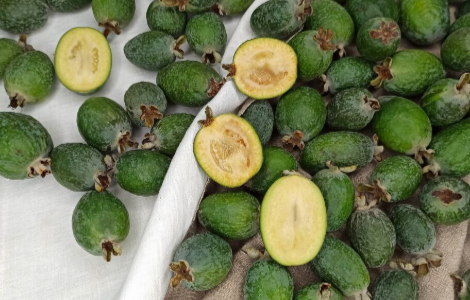 ���������� ����� ����� ������� ��������� ����� �� �����