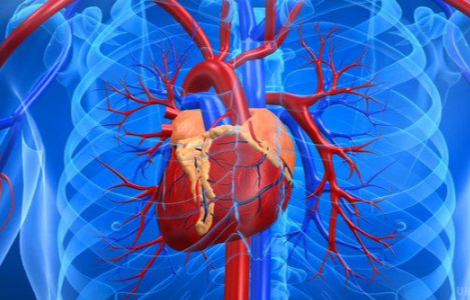 Кому потрібно приймати вітаміни для серця та судин Кому потрібно приймати вітаміни для серця та судин