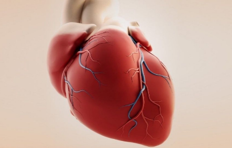 �� �������� ������ ��� ������� �����