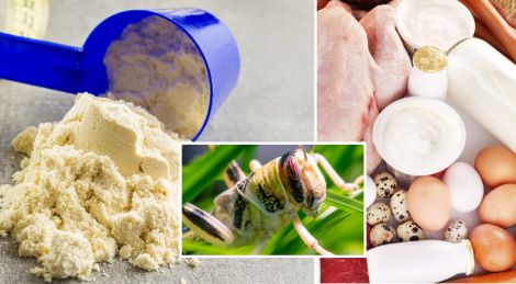 ������: ������ ����� �� ������� ������� ��� ������ʼ�?