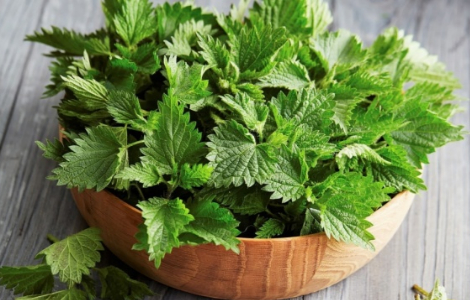 ������� ������, ��� �� ��� �������� ���� ������������ ��������