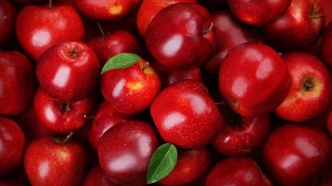 �����, ���� ����� ����� ��������� ������