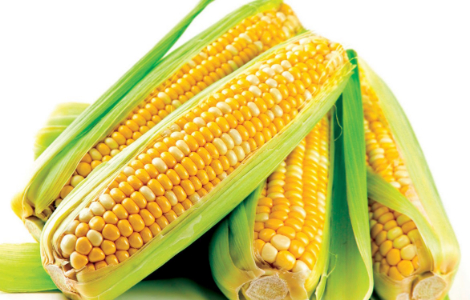 Смачний продукт, котрий стане чудовою профілактикою інсульту Смачний продукт, котрий стане чудовою профілактикою інсульту