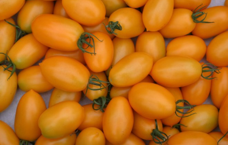 �� ������� ����� �������� �����������