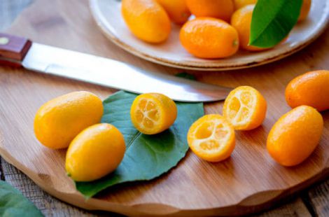 �볿, �� ������ �������� �� ��� ���� �������� �����