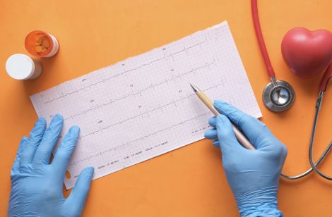 ��� ������ ������ ����������:  ز ���� ������� ����� ��������� ������ �� ��