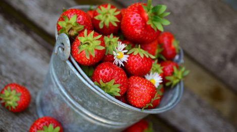 �����, ����� � ������� ������������� ����