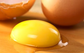 �� ���� ����� �� ������� �������� � ����