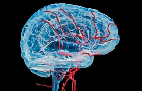 ������ ��� ��������� ������� ������ � �������