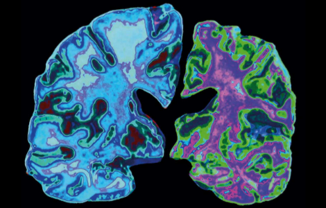 ��� ��������� ������ ������������ ������� ����������� �� ������ ���䳿