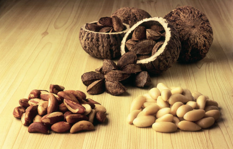 ������������ ���� ������ ������ �� ������������ �������