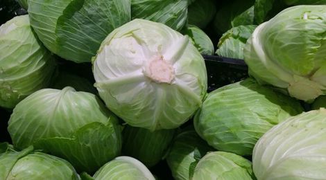 ����, ���� ������ ������ ������� �������������