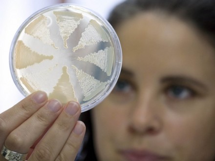 Як уникнути зараження ботулізмом у домашніх умовах Як уникнути зараження ботулізмом у домашніх умовах