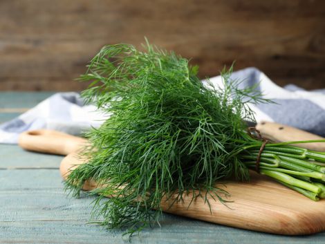 Дешева зелень, яка омолоджує шкіру та захищає від раку Дешева зелень, яка омолоджує шкіру та захищає від раку