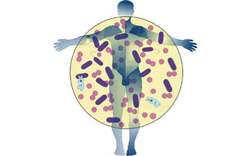 Чудовий спосіб налагодити роботу кишківника без ліків Чудовий спосіб налагодити роботу кишківника без ліків