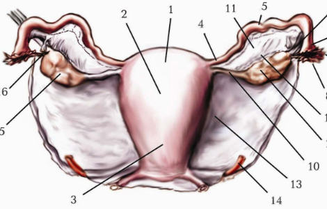 ���� ����� �������� �����, � ���� ��� ����� ����� �������