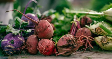 Овоч, котрий здатен захистити від раку Овоч, котрий здатен захистити від раку