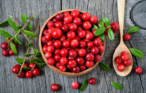 Дві ложки цієї ягоди щодня зменшать ризик розвитку раку Дві ложки цієї ягоди щодня зменшать ризик розвитку раку