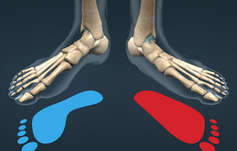 ������, ���� ���������� ��������� ���� � �������������