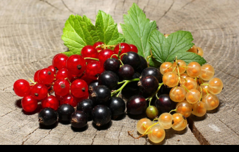 ��������, �� ������������ �������� ��� ������